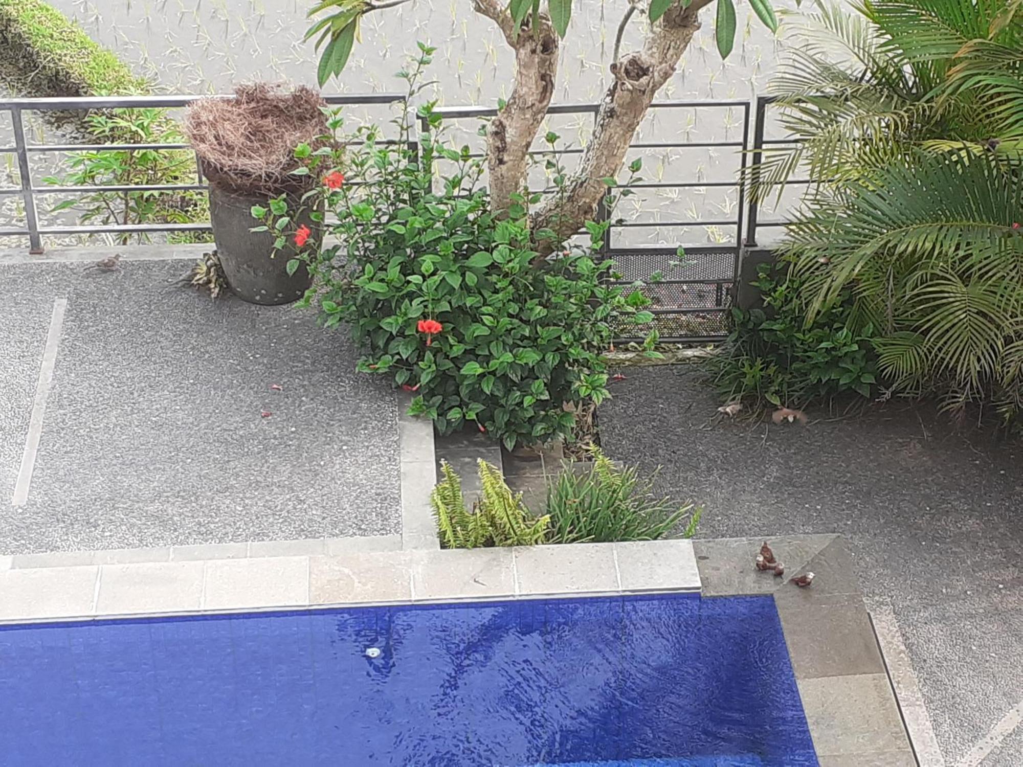 Ferienwohnung Griya Bun Sari Sukawati Exterior foto